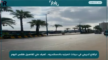 ارتفاع تدريجي في درجات الحرارة بالإسكندرية.. تعرف على تفاصيل طقس اليوم